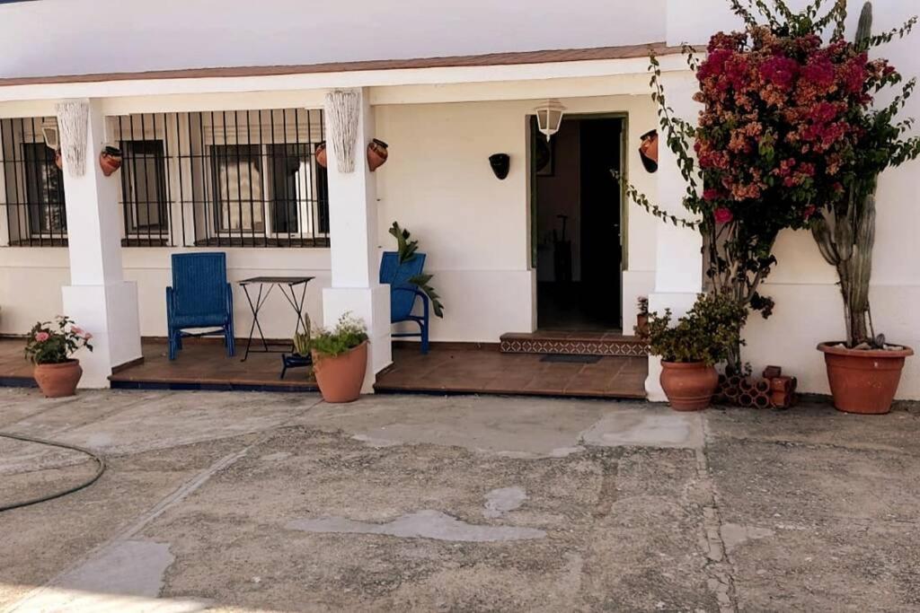 Sagrado Corazon - Chalet Con Piscina, A 25M Playa サンルーカル・デ・バラメダ エクステリア 写真